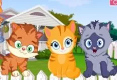Animal Games, Alley Cat Choir, Games-kids.com
