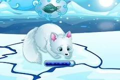 Animal Games, Arctic Foxes, Games-kids.com