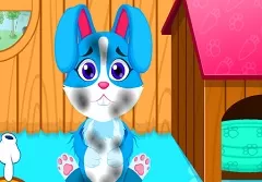 Animal Games, Baby Bunny Grooming Makeover, Games-kids.com