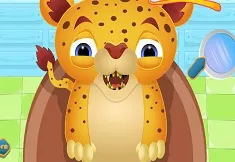 Animal Games, Baby Cheetah Tooth Doctor, Games-kids.com