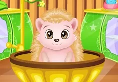 Animal Games, Baby Hedgehog Caring, Games-kids.com