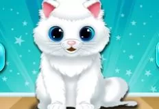 Animal Games, Baby Kitten Care, Games-kids.com