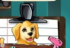 Animal Games, Become a Puppy Groomer, Games-kids.com