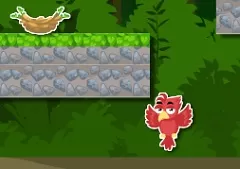 Animal Games, Bird Jungle Rescue, Games-kids.com