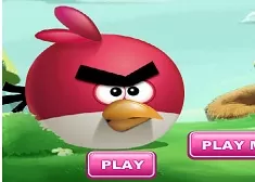 Angry Birds Games, Birds Get Home, Games-kids.com