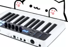 Animal Games, Bongo Cat, Games-kids.com