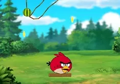 Angry Birds Games, Candy Angry Birds, Games-kids.com