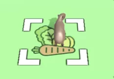 Animal Games, Capybara Collector, Games-kids.com