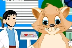 Dentist Games, Cat Dental Care, Games-kids.com