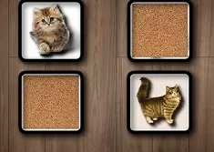 Puzzle Games, Cat Memory, Games-kids.com