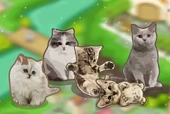 Decoration Games, Cat Village, Games-kids.com