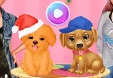 Celebrities Games, Celebrity Puppies, Games-kids.com