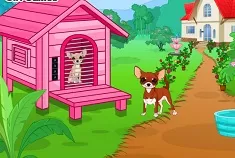 Animal Games, Chihuahua Lover Escape, Games-kids.com