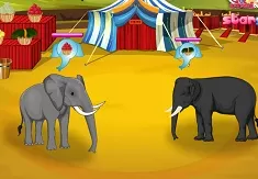 Animal Games, Circus Elephants, Games-kids.com