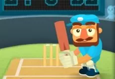 Boys Games, Cricket Hero, Games-kids.com