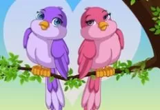 Animal Games, Cute Birds in Love, Games-kids.com