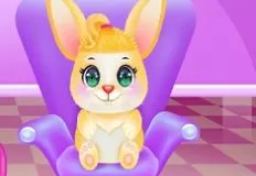 Animal Games, Cute Bunny Caring and Dressup, Games-kids.com