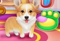 Animal Games, Cute Corgis Caring and Dress Up, Games-kids.com