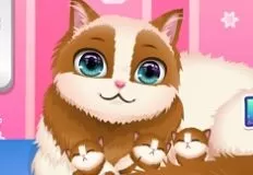 Animal Games, Cute Kitty Pregnant, Games-kids.com