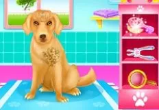 Animal Games, Cute Lady Labrador Caring, Games-kids.com