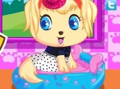 Animal Games, Doggy Beauty Salon, Games-kids.com