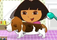 Dora Games, Dora Pet Grooming, Games-kids.com