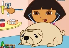 Dora Games, Dr Dora Saves the Dogs, Games-kids.com