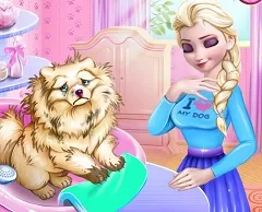 Frozen  Games, Elsa Dog Care, Games-kids.com