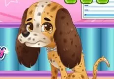 Animal Games, ER Cute Puppy, Games-kids.com