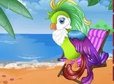 Animal Games, Exotic Parrot Feathers, Games-kids.com