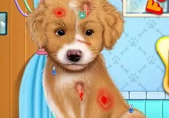 Animal Games, Fashion Pet Doctor, Games-kids.com