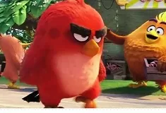 Angry Birds Games, Find the Angry Birds, Games-kids.com