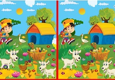Find The Difference In Farm - Differences Games