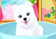 Animal Games, Fluffy Puppy Care, Games-kids.com
