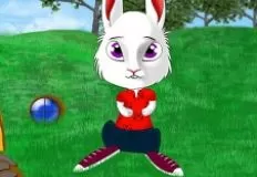 Animal Games, Funny Bunny, Games-kids.com