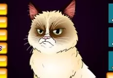 Animal Games, Grumpy Cat, Games-kids.com