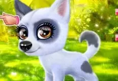 Animal Games, Happy Dog, Games-kids.com