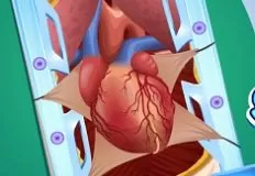 Doctor Games, Heart Bypass Surgery, Games-kids.com