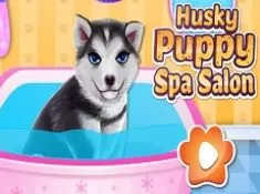 Animal Games, Husky Spa Salon, Games-kids.com