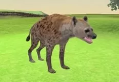 Animal Games, Hyena Simulator 3D, Games-kids.com