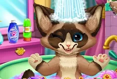 Animal Games, Kitten Bath, Games-kids.com