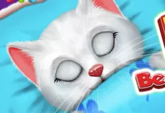 Animal Games, Kitty Bedtime Activities, Games-kids.com