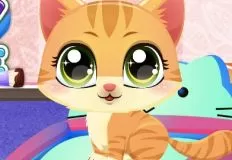 Animal Games, Kitty Fun Care, Games-kids.com