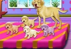 Animal Games, Labrador Quadruplets Newborn Caring, Games-kids.com