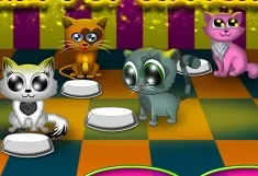 Animal Games, Milk for Kittens, Games-kids.com