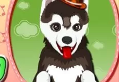 Animal Games, My Cute Dog Bathing, Games-kids.com