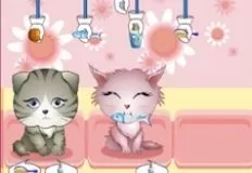 Animal Games, My Pet Shop, Games-kids.com