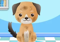 Animal Games, My Pet Spa, Games-kids.com