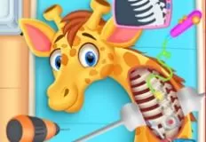 Animal Games, My Pet Vet Hospital, Games-kids.com