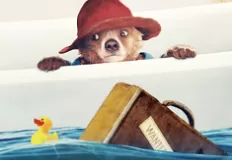 Paddington Games, Paddington, Games-kids.com